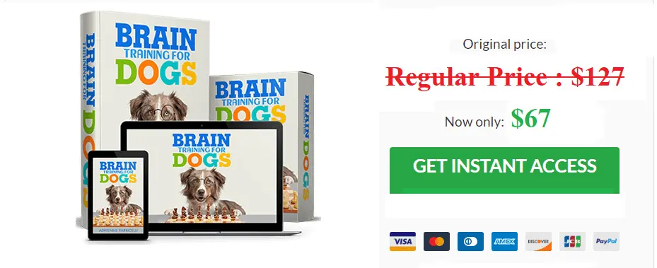 Brain Training For Dogs Buy