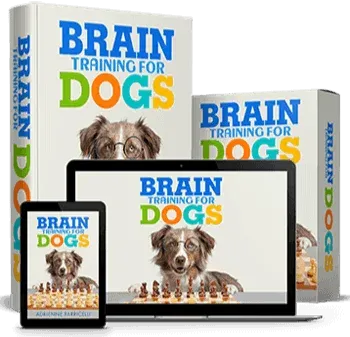 Brain Training For Dogs program cover
