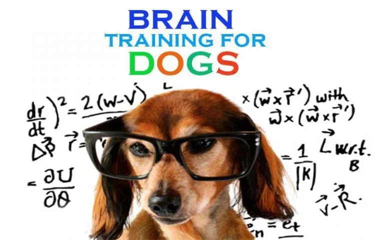 The science behind Brain Training For Dogs
