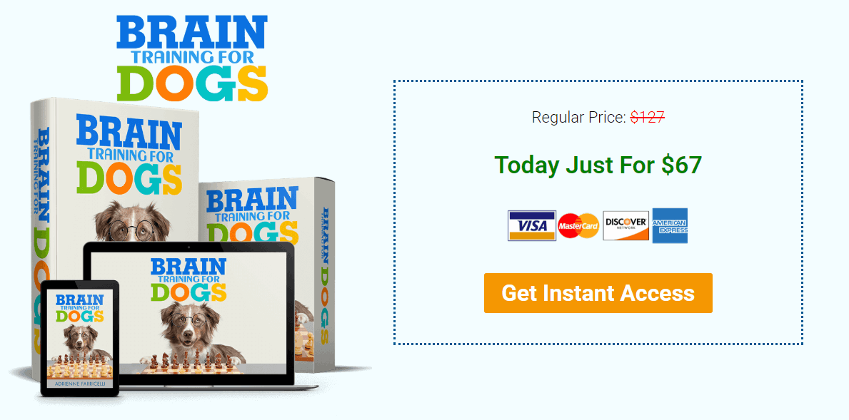 Brain Training For Dogs 15