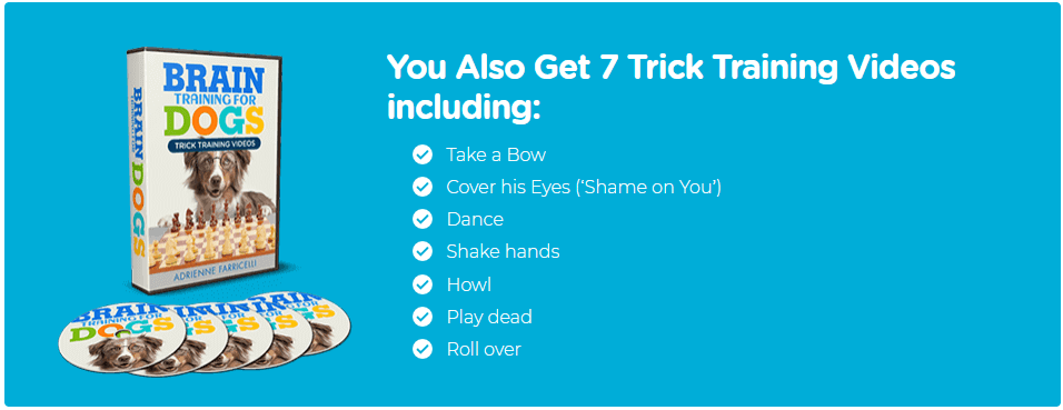 Brain Training For Dogs 10