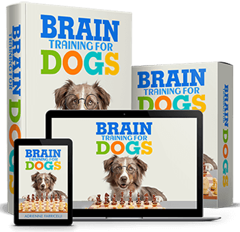 Why is Brain Training for Dogs so Popular